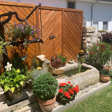 Ferienwohnungen Zum Briefmarkenhaus Mörbisch am See Екстериор снимка