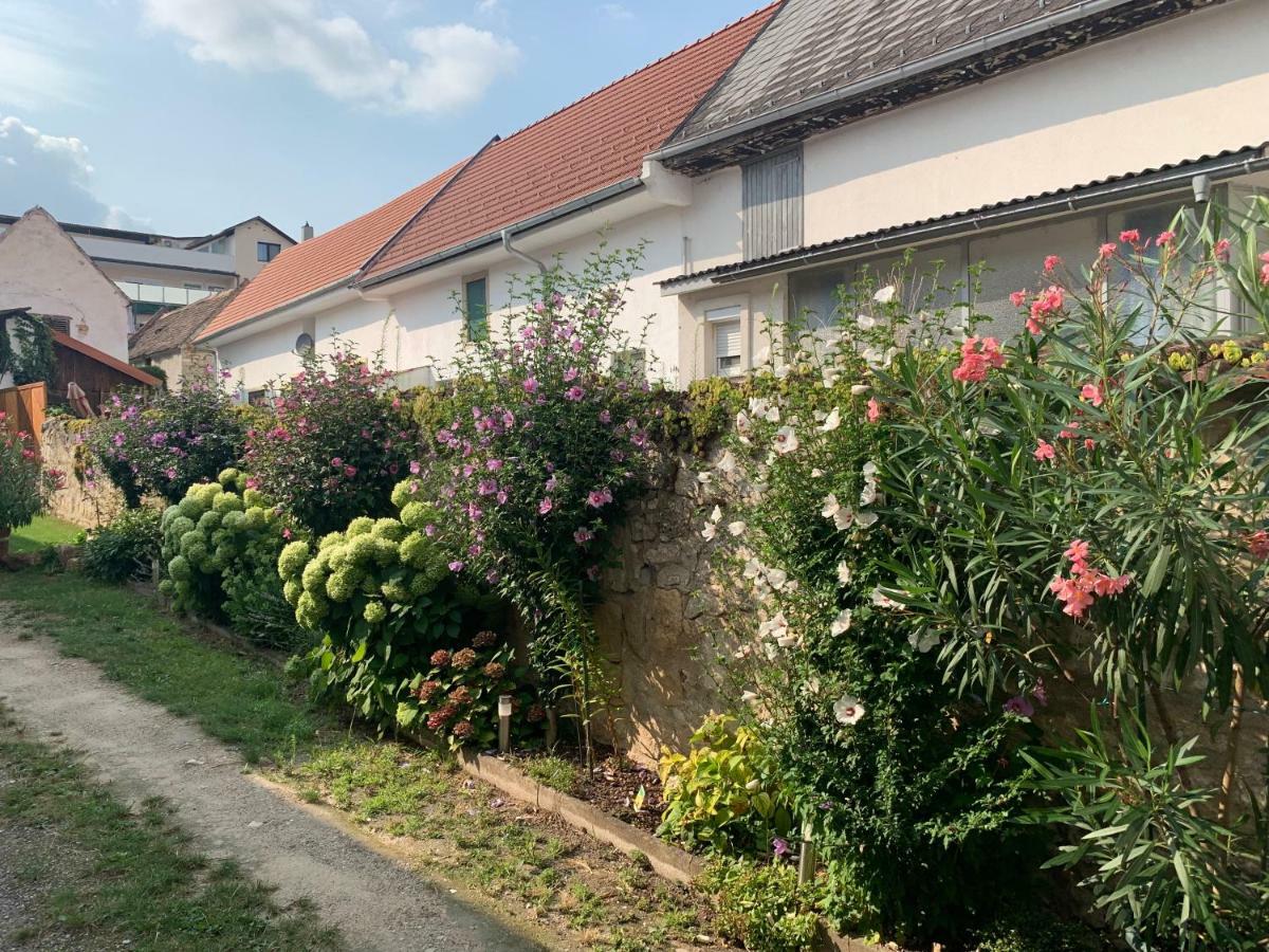 Ferienwohnungen Zum Briefmarkenhaus Mörbisch am See Екстериор снимка